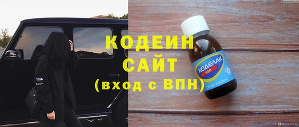 гидра Верхний Тагил