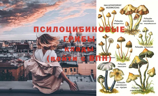 дурь Богданович