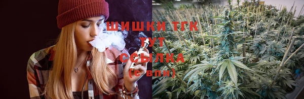 сатива Богородицк
