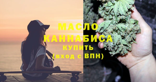 гидра Верхний Тагил