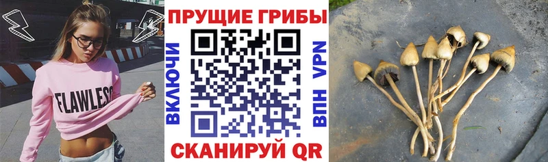 где купить наркоту  Октябрьский  mega сайт  Галлюциногенные грибы MAGIC MUSHROOMS 